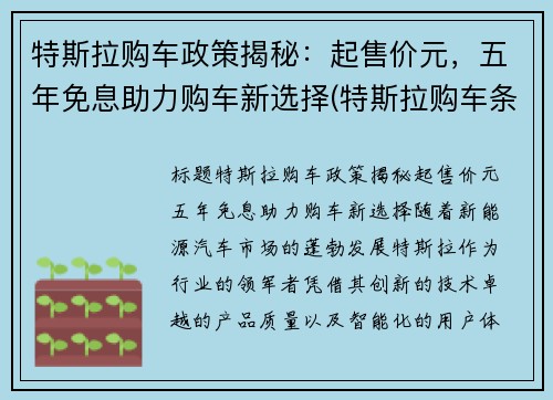 特斯拉购车政策揭秘：起售价元，五年免息助力购车新选择(特斯拉购车条件)