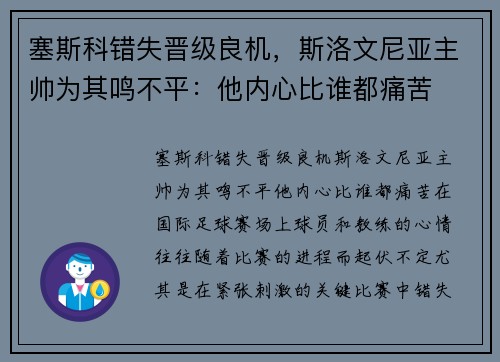 塞斯科错失晋级良机，斯洛文尼亚主帅为其鸣不平：他内心比谁都痛苦