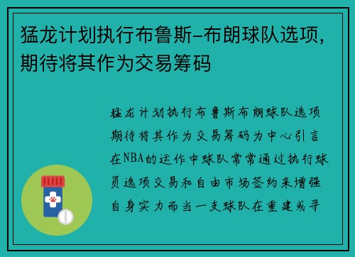 猛龙计划执行布鲁斯-布朗球队选项，期待将其作为交易筹码