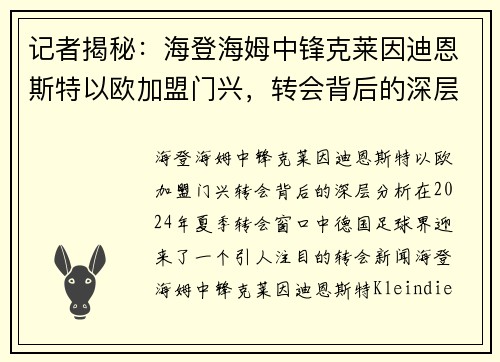 记者揭秘：海登海姆中锋克莱因迪恩斯特以欧加盟门兴，转会背后的深层分析