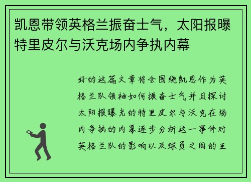 凯恩带领英格兰振奋士气，太阳报曝特里皮尔与沃克场内争执内幕