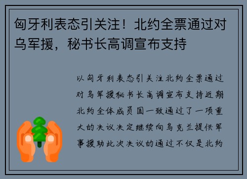 匈牙利表态引关注！北约全票通过对乌军援，秘书长高调宣布支持